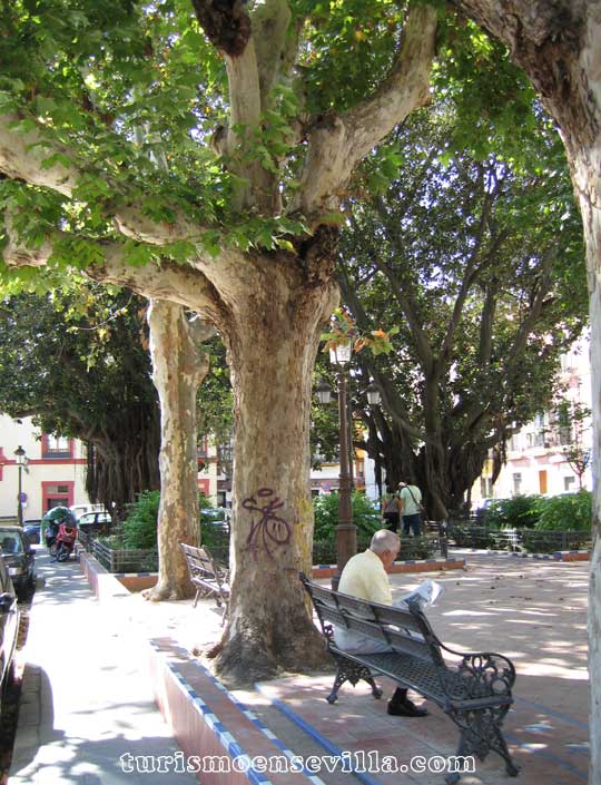 Plaza de Sevilla